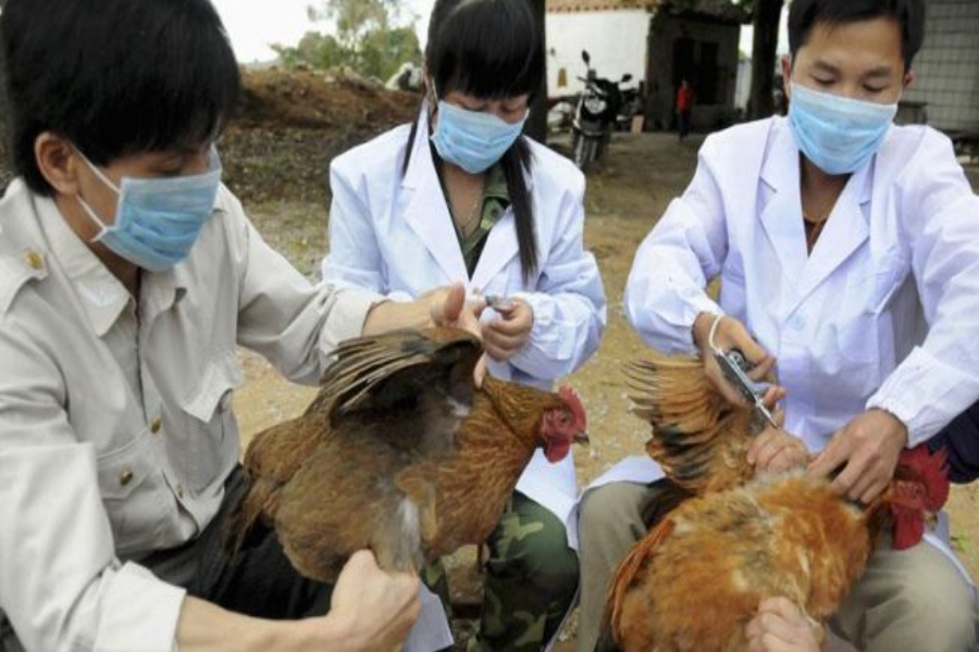Νέο κρούσμα της θανατηφόρας γρίπης H7N9
