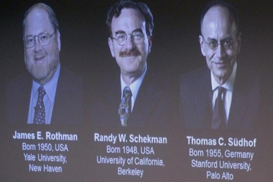 Σε τρεις επιστήμονες το Νόμπελ Ιατρικής 2013