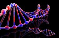 Γενετική τροποποίηση σε ανθρώπινα έμβρυα για πρώτη φορά