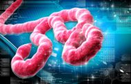Οι 8 γνωστοί και άγνωστοι ιοί που απειλούν με επιδημίες