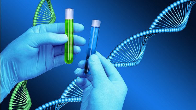 Ανακαλύφθηκαν 44 νέα γονίδια για την υπέρταση