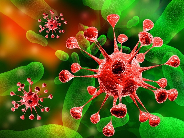 Τα καλά βακτήρια του εντέρου μπορούν να προστατεύσουν από τον καρκίνο
