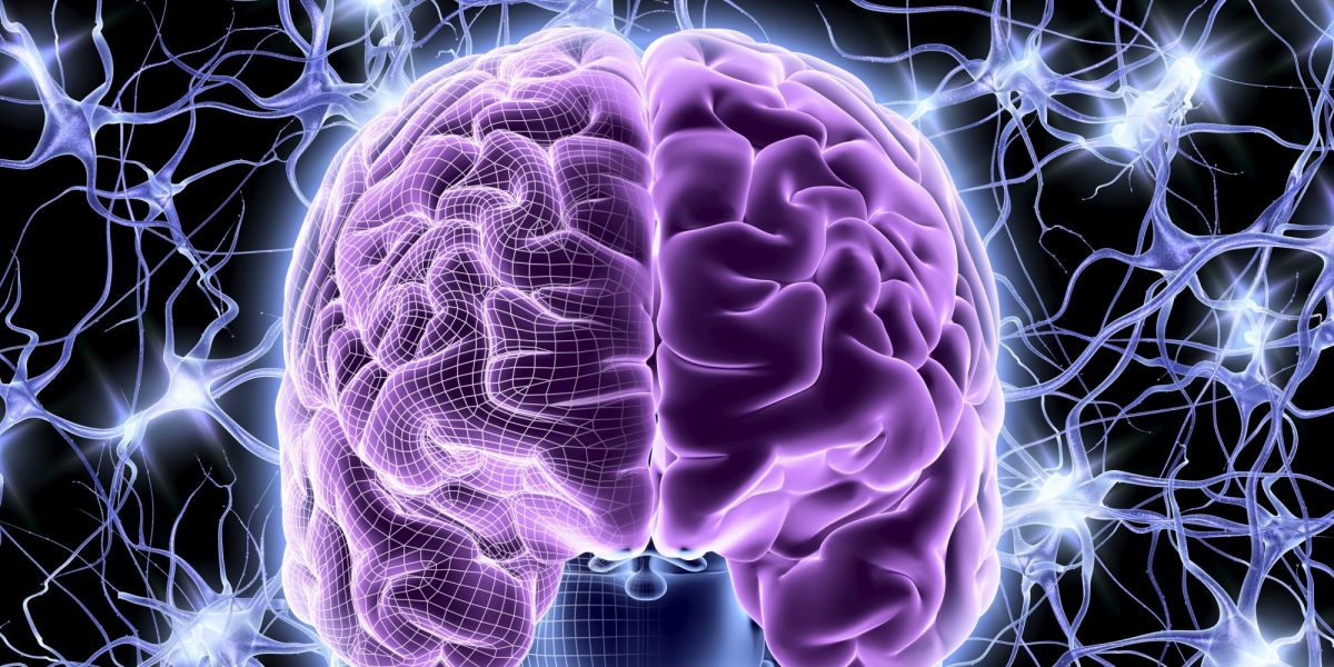 «Καθάρισαν» πλάκες Αλτσχάιμερ από εγκέφαλο πειραματόζωων