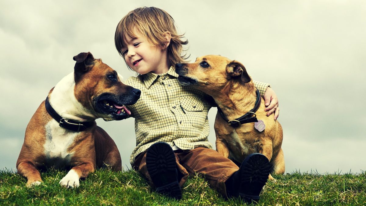 Τον κίνδυνο άσθματος στα παιδιά μειώνει ο σκύλος στο σπίτι