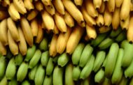 Οι μπανάνες βοηθούν στην απώλεια βάρους!