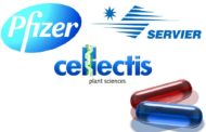 Σύμπραξη Servier και Pfizer για τα δικαιώματα θεραπείας της Cellectis