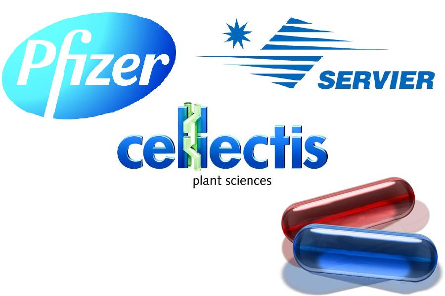 Σύμπραξη Servier και Pfizer για τα δικαιώματα θεραπείας της Cellectis
