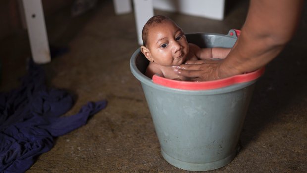 Τρόμος από τον ιό Ζίκα – Έλεγχος στις εγκυμοσύνες μέχρι το 2018