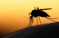 19 νέα κρούσματα του ιού του Δυτικού Νείλου στην Ελλάδα