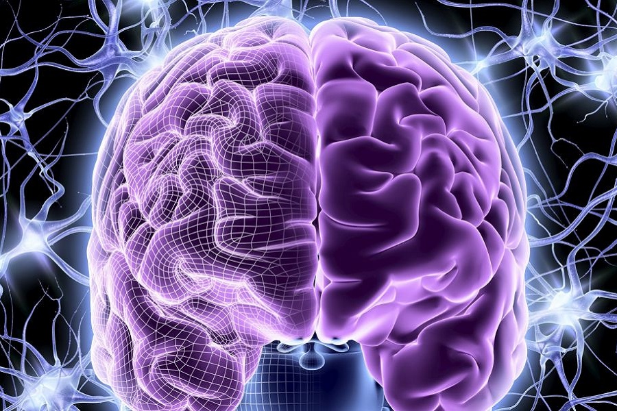 Νέα δεδομένα στην αλληλεπίδραση της ορμόνης του stress με τον ανθρώπινο εγκέφαλο