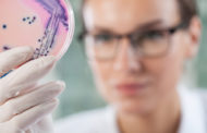ECDC: Προκήρυξη για ειδίκευση στη Μικροβιολογία της Δημόσιας Υγείας