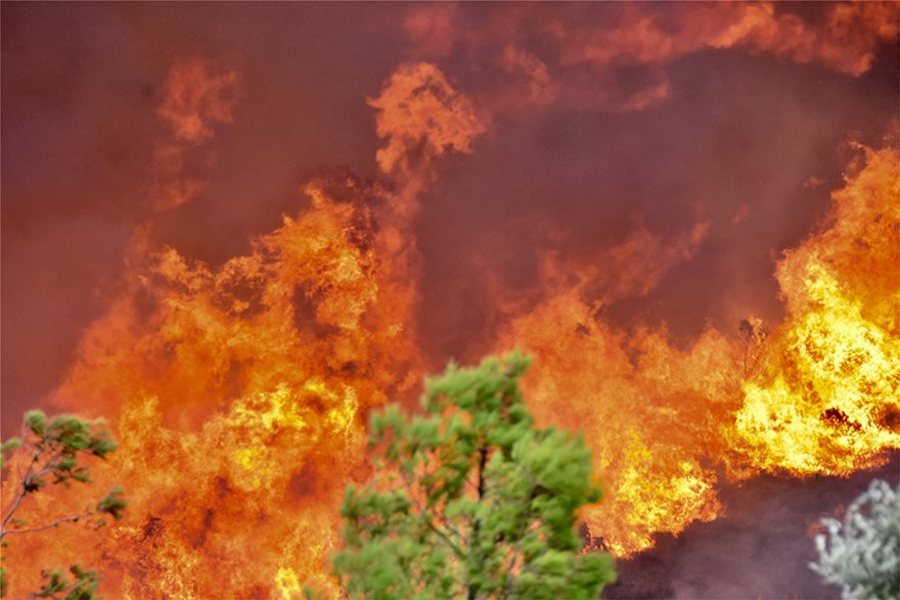 Πενθεί η χώρα: Δεκάδες οι νεκροί από τις φωτιές στην Αττική (upd)