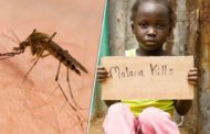 Έρχεται mRNA εμβόλιο και κατά της ελονοσίας!