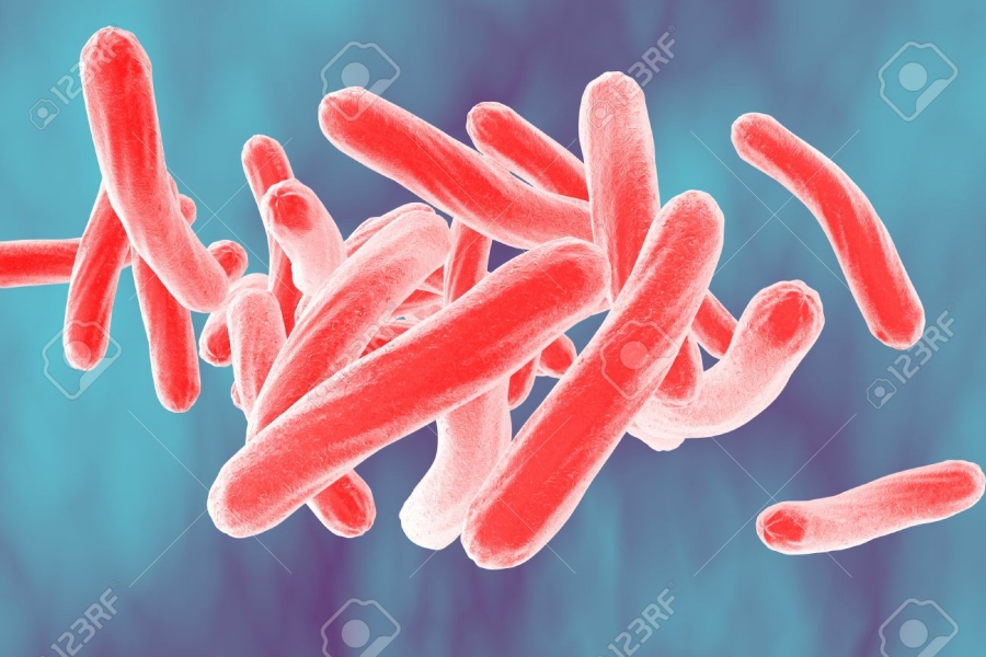 Παγκόσμια απειλή η ανθεκτική φυματίωση