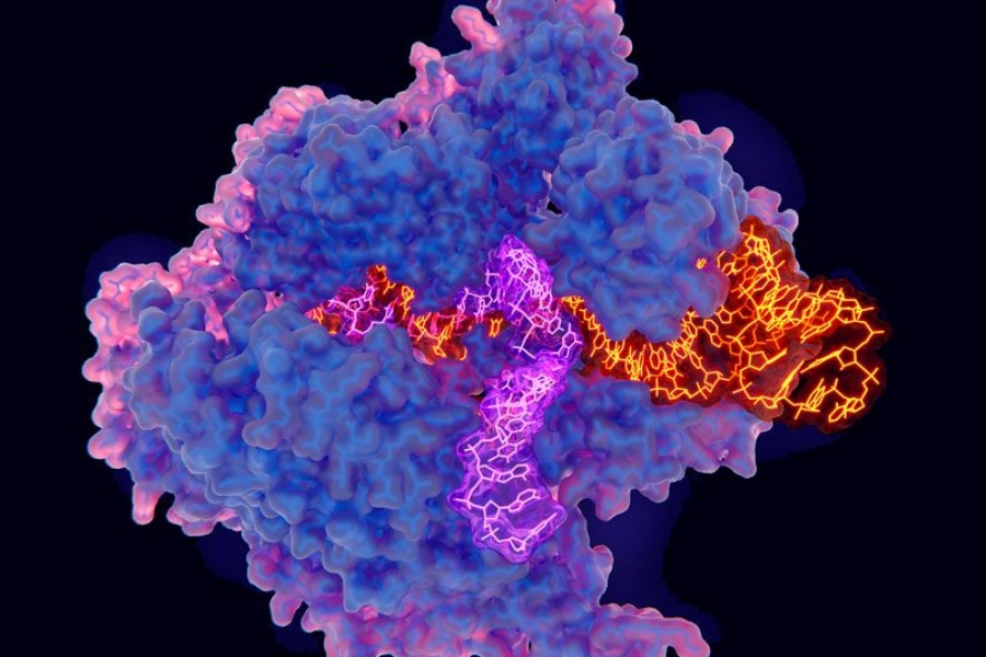 Νέα μέθοδος επεξεργασίας του DNA