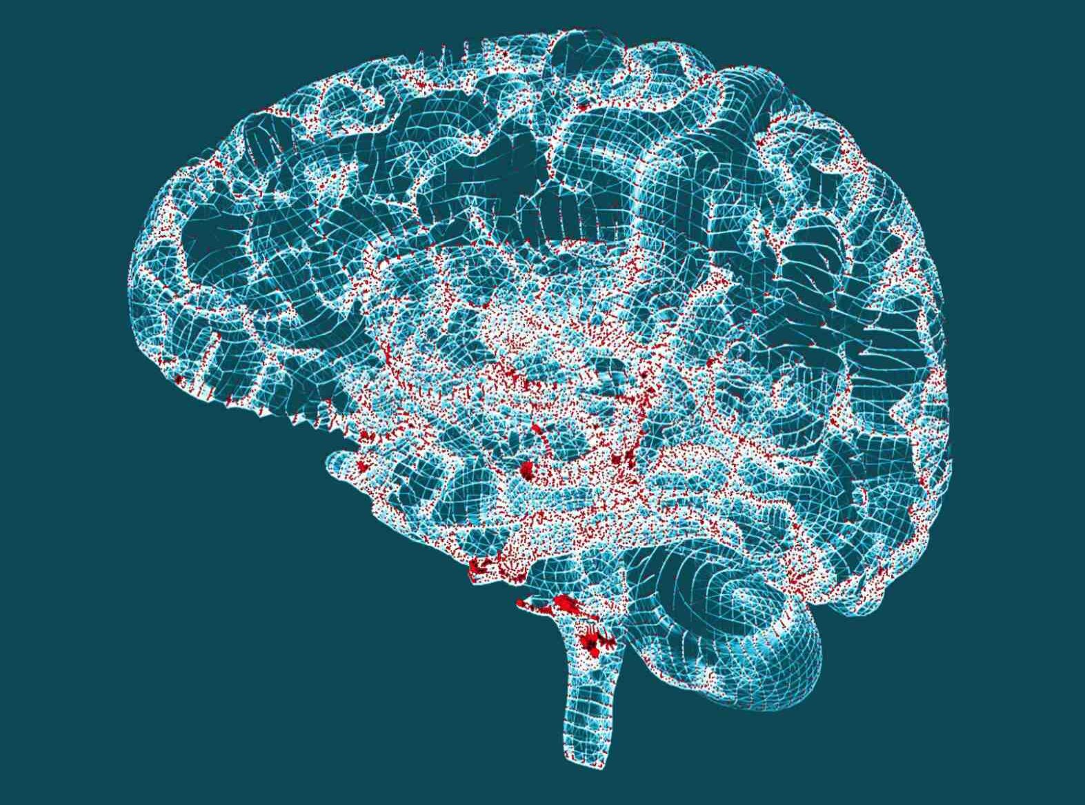 Εξερευνώντας τον Εγκέφαλο: Εκδήλωση από την Ακαδημία Νευροεπιστημών