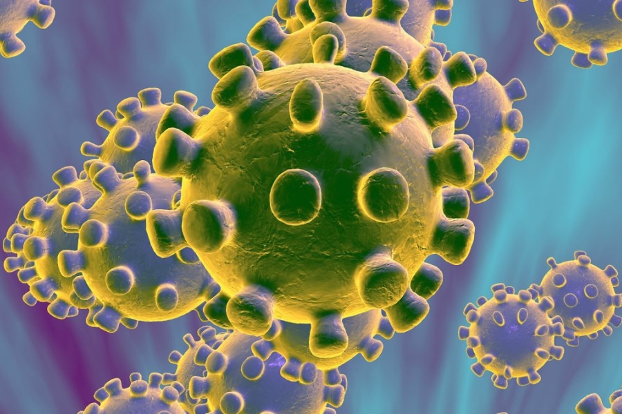 Ανακαλύφθηκε νέος επικίνδυνος ιός στην Κίνα