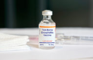 FDA: Έγκριση εμβολίου για την εγκεφαλίτιδα από τσιμπούρια