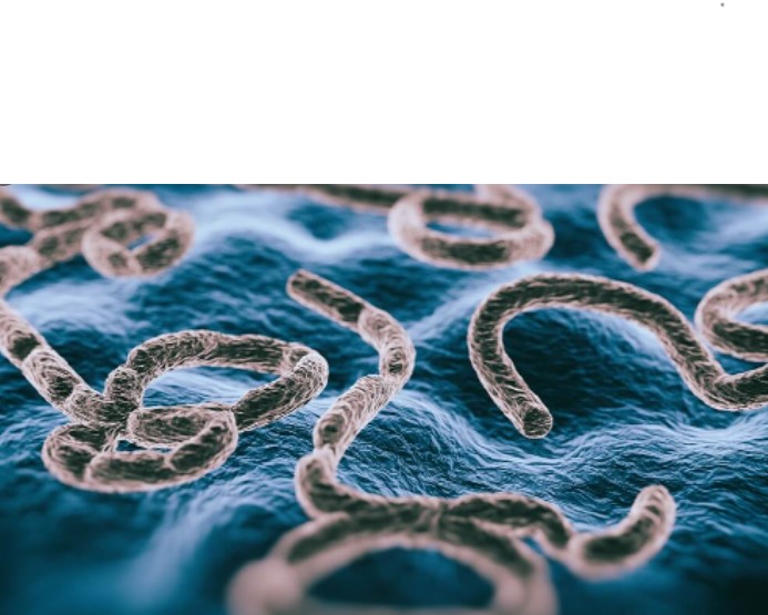 Μοριακές αποδείξεις σεξουαλικής μετάδοσης του ιού Έμπολα