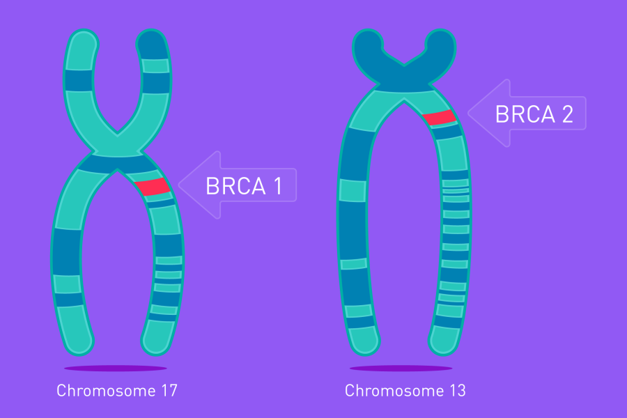 Περισσότεροι καρκίνοι προκαλούνται από τα γονίδια BRCA1 & BRCA2!