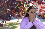 Πως θα αντιμετωπίσουμε τις αλλεργίες-  Τι προτείνει το Harvard Health Medical